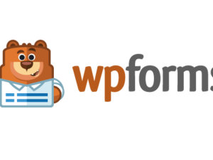 WPForms Pro Plugin – Drag & Drop WordPress Form Builder